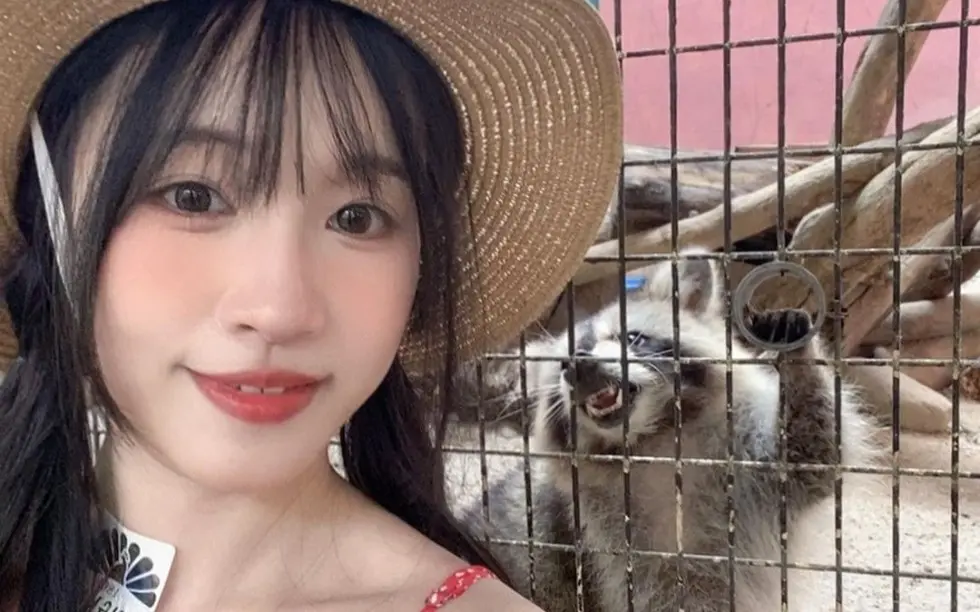 《苏畅》vlog视频大全-国产女神无删减版在线观看全集-高清1080P免费播放