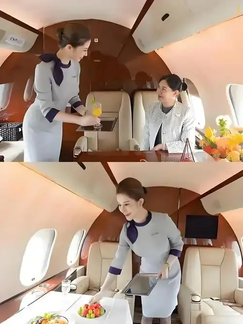 《私人航空/法国航空》未删减版HD高清在线观看-私人航空/法国航空完整版免费播放-无弹窗无广告观看