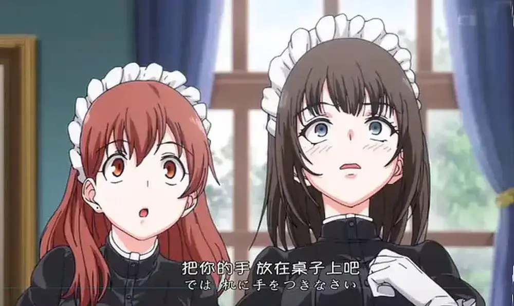 《女仆教育》无删减完整版中字版在线观看-全集无广告高清动漫-VS动漫风车动漫